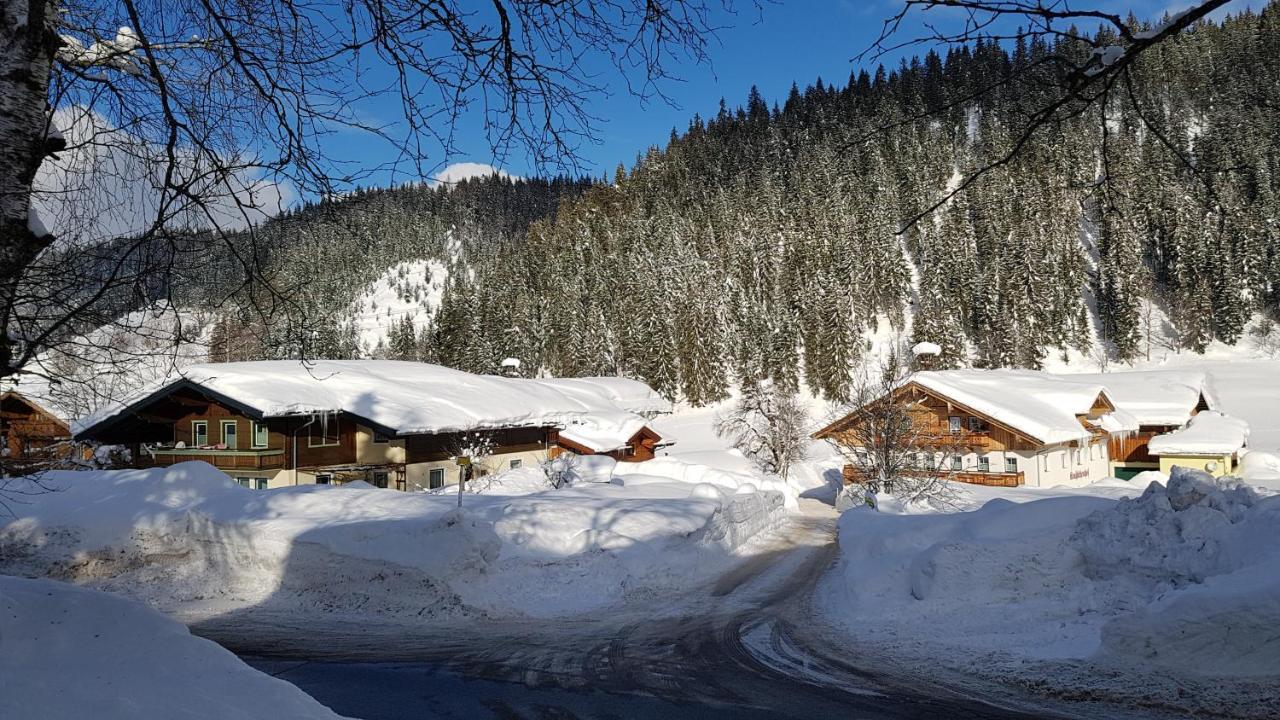 Bauernhof Krahlehenhof Villa Filzmoos Bagian luar foto