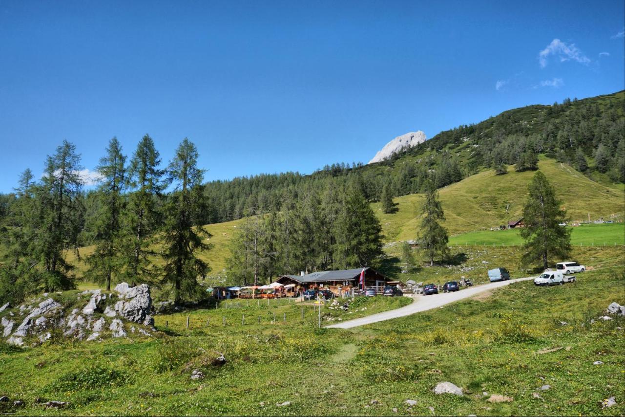 Bauernhof Krahlehenhof Villa Filzmoos Bagian luar foto