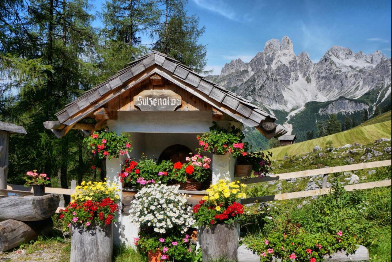 Bauernhof Krahlehenhof Villa Filzmoos Bagian luar foto